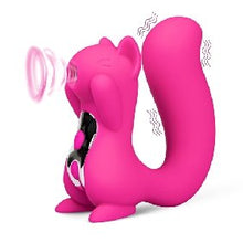 The Squirrel