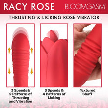 The Regal Rose
